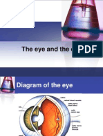 The eye and ear