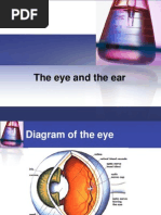 The Eye and Ear