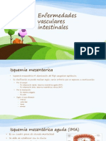 Enfermedades Vasculares Intestinales