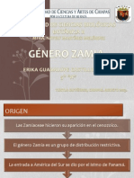 Género Zamia