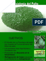 Fisiologia Del Cultivo de Palto