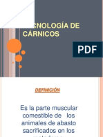 Tecnologia de Carnicos