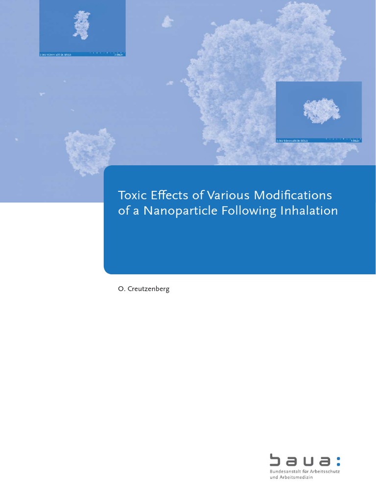 Toxic Effects of Various Modifications of A NP Following Inhalation ...