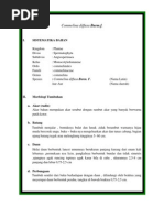 Download Commelina Diffusa Burm by Nahrir Auzaie SN176204870 doc pdf