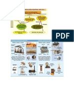 La Segunda Revolución Industrial