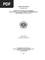 Download MODUL Hibridisasi B Komet by Respandu Zulfachri SN176208422 doc pdf