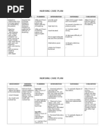 Nursing Care Plan