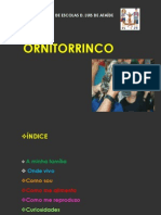 ORNITORRINCO -CN martim 5ºb final