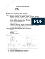 Anatomi Organ Reproduksi Udang Vannamei Dan Windu