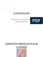 Clasificacion Mama