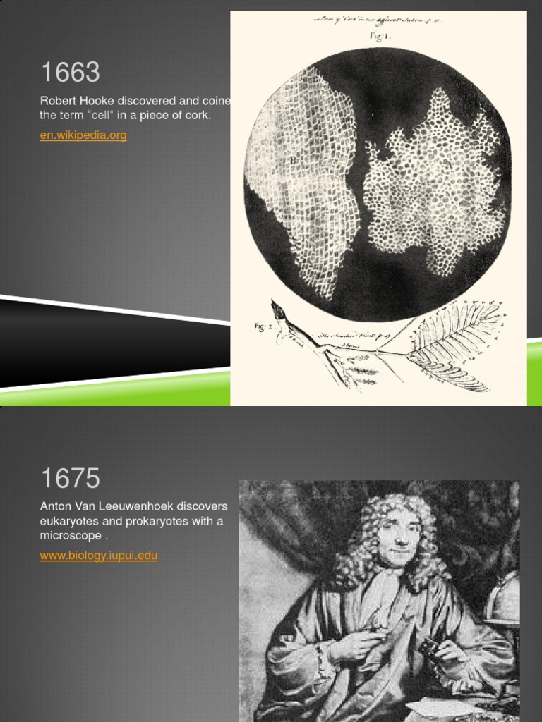 Key Milestones in Biological Discoveries | PDF