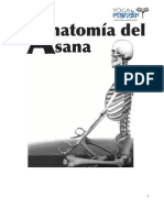 Manual Anatomia