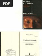 Darcyribeiro Osindioseacivilizao Concluso 120427133439 Phpapp02