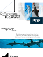11 Differences Between Dolphins and Porpoises