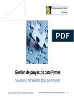Cynertia Gestion Proyectos Pymes 2010