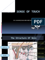 Sense of Touch