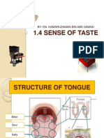 1.4 Sense of Taste: By: En. Kamaruzaman Bin Abd Samad