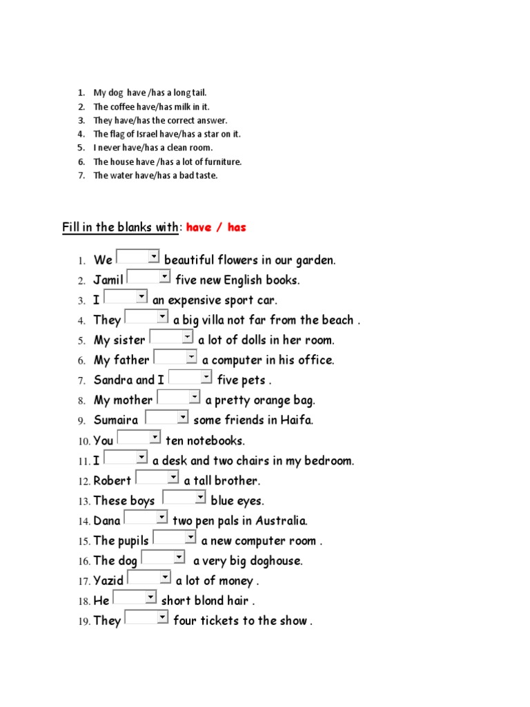 Grammar Exercise: Have vs. Has | PDF