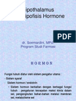 Hiphotalamus & Hipofise