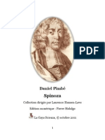 Spinoza Pimbe