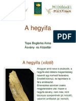 Hegyifa_TopaBA.pdf