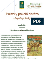Darazs_VasZ.pdf