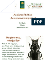 Akfutrinka_SzelGy.pdf