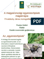 Egyenesropuek_PuskasG.pdf