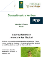 Darazsfeszek_VasarhelyiT.pdf