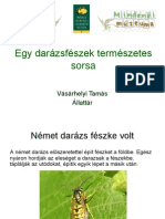 Darazsfeszek2 VasarhelyiT PDF