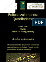 Szalamandra VorosJ PDF
