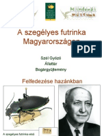 Szegfutrinka SzelGy PDF