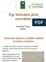 Hangyaleso VasarhelyiT PDF