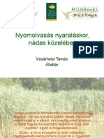 Nyomolvasas VasarhelyiT PDF