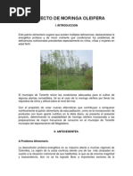 Proyecto de Moringa Oleifera x