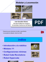 Robótica Modular y Locomoción. UAM-2008
