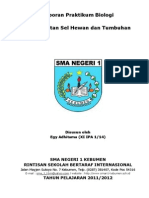 Download Laporan Sel Hewan Dan Sel Tumbuhan by Egy Adhitama SN176574226 doc pdf