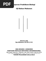 Download Laporan Lengkap Praktikum Uji Bahan Makanan by Egy Adhitama SN176575674 doc pdf