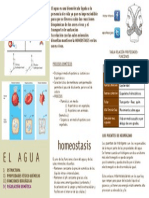 Ficha Repaso Agua