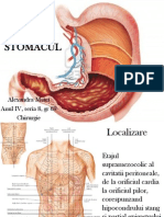 Localizare Stomac