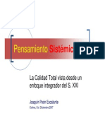 Pensamiento Sistemico PDF