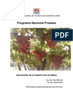 INTA - Programa Nacional Frutales - Cadena de La Uva de Mesa