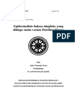 Epidermolisis Bulosa Simpleks Dowling Meara