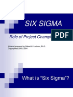 Six Sigma - Rolul campionilor de proiect