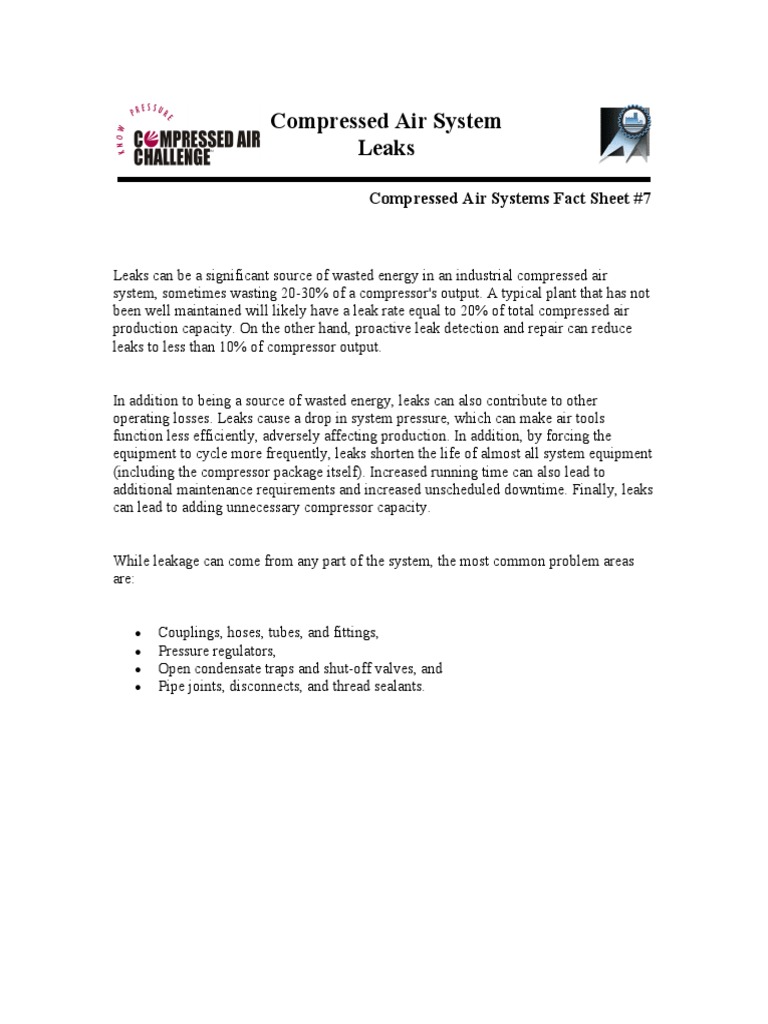 Compressed Air System 2 | PDF | Leak | Gas Compressor