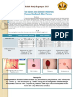 Kuliah Kerja Lapangan 2013 PDF
