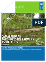 Case Studies UNDP: CAMALANDAAN AGROFORESTRY FARMERS' ASSOCIATION, Philippines