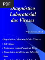 Aula 9 - Diagnostico Virologico