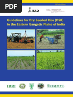 Download Guidelines for Dry Seeded Rice DSR in the Eastern Gangetic Plains of India by IRRI Rice Knowledge Bank SN176750321 doc pdf