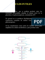 Integración Metabólica y Vías Unidireccionales